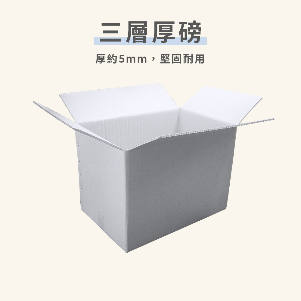 速購家最新消息